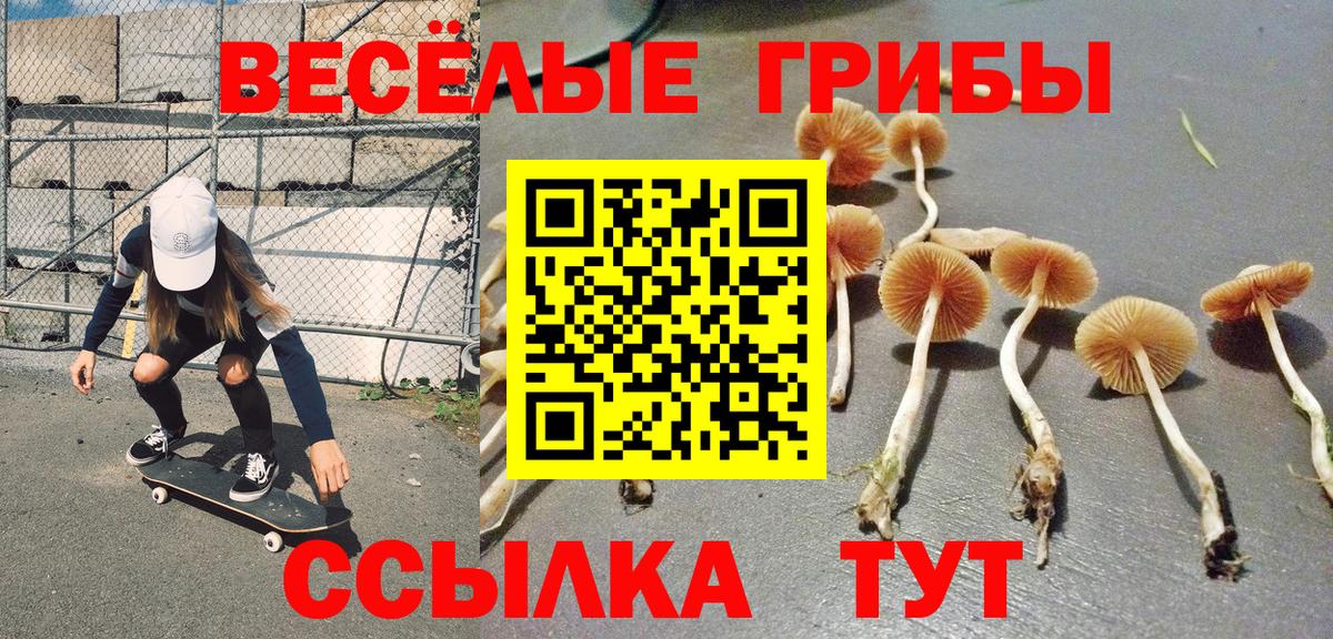 купить наркотик  Псилоцибиновые грибы ЛСД  Вход с VPN  Саянск 